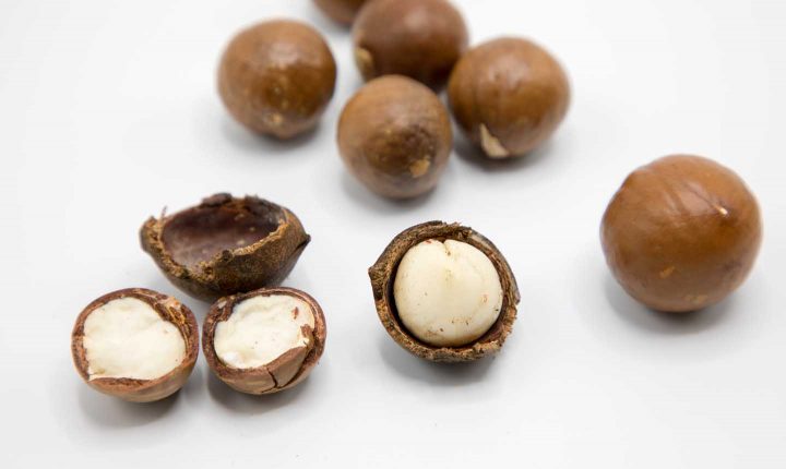 Nueces de macadamia