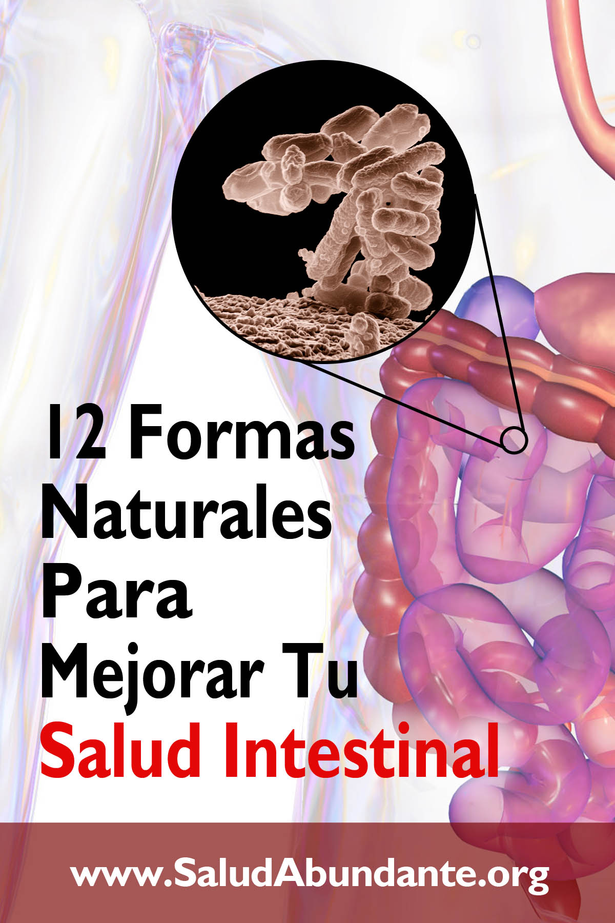 Doce Formas Naturales Para Mejorar Tu Salud Intestinal